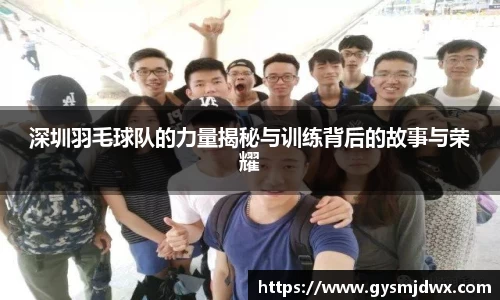深圳羽毛球队的力量揭秘与训练背后的故事与荣耀